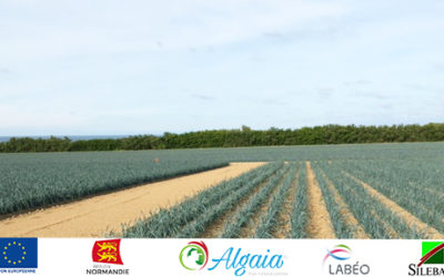 Algaia currently testing seaweed-based agri-ingredients on leeks as part of APostim project