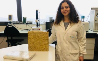 Algaia hosts a PhD student from ESITC working on algae-based insulation materials