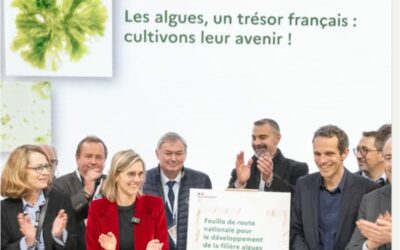 France Unveils Its National Roadmap for the Algae Industry